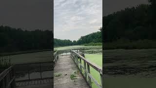 Riding my bike on local trail near my house #biketrail