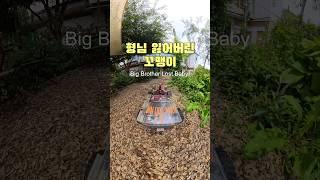 감자밭 다녀옴️2탄(감자빵 potato bread)