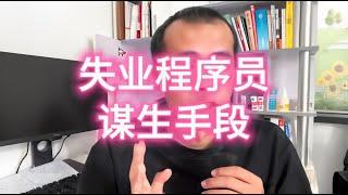 【程序员历险记19】失业程序员的谋生手段