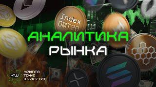 Аналитика рынка 25.11.2024