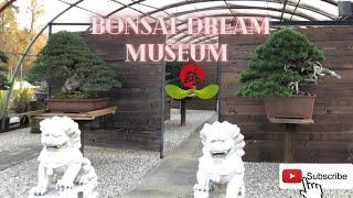 Bonsai Dream Museum