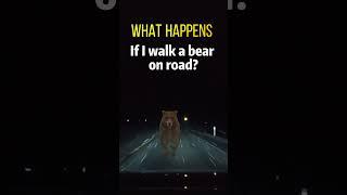 What happens if I walk a bear on road