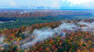 Autumn in the Ontario Canada Highlands, Peaceful River and Forest Scenes on Thanksgiving Weekend