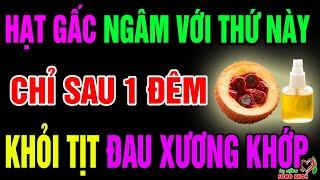 Cứ Lấy Hạt Gấc Ngâm Với Thứ Này Cực Tốt Cho Sức Khỏe, Hồi Sinh Xương Khớp, Cả Đời Không Lo Tật