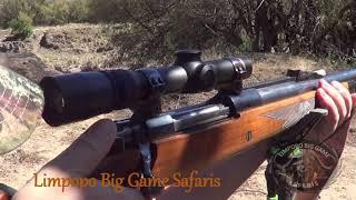 Limpopo Big Game Safaris Rhino hunt