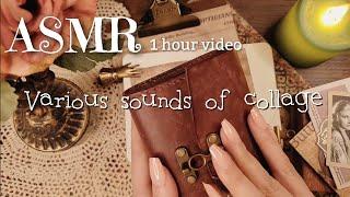 ASMR｜1時間 コラージュの色々な音/Various sounds of collage｜睡眠、作業、勉強BGM｜Relaxing sounds