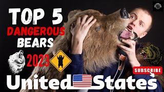 Top 5 Most Dangerous Bears in the USA (2023) | The Fame Files #top5 #wildanimals