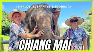 Chiang Mai, Tailândia: dicas de viagem e passeios