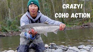 Crazy COHO Afternoon Fishing! Vedder River Salmon