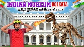 ఇండియన్ మ్యూజియం కి వెళ్లాను  || Indian Museum & New Market Kolkata - India to Myanmar  Cycle Ride