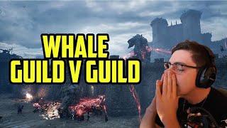 Shroud's whale guild vs guild siege Throne and Liberty