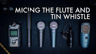 Microphones for tin whistle and Irish flute