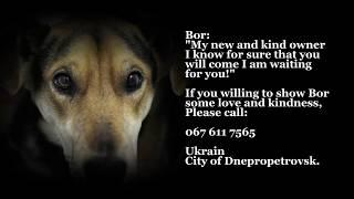 Bor requests help!