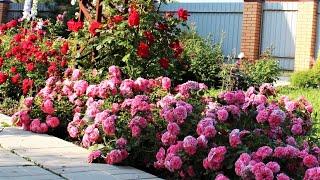 Ландшафтный дизайн и Благоустройство Прекрасные идеи / Garden landscaping ideas / A - Video