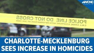 Charlotte-Mecklenburg sees increase in homicides