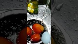 tomato egg#shorts||md intelligence