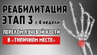 Полный протокол реабилитации. Разработка ЛУЧЕЗАПЯСТНОГО СУСТАВА. Перелом «в типичном месте». ЭТАП 3