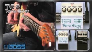 BOSS TE-2 Tera Echo [BOSS Sound Check]