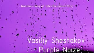 Vasiliy Shestakov - Purple Noize (Progresive House Mix)