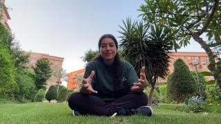 beginner’s mindset | الإبداع و الفشل