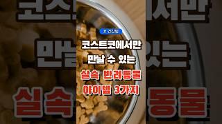 코스트코에서만 만날 수 있는 실속 반려동물 아이템 3가지 #코스트코 #장보기 #세일 #잇템 #추천#장봐주는남자