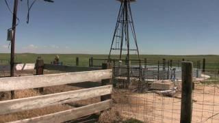 BRIAN FERRIS CATTLE RANCHER FORT MORGAN