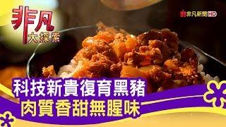 科技新貴復育黑豬 肉質香甜無腥味 - 台灣之光【非凡大探索】【1101-6集】