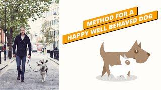 Outlining My Method for a Happy Well Behaved Dog