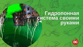 №6 Как сделать гидропонную систему своими руками