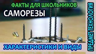 Что такое саморезы. Разновидности, назначение и характеристики саморезов.