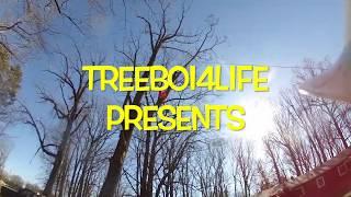 1rst Tree Job of 2020 - TreeBoi4Life - Part 3