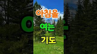 아침을 여는 기도 #기도#주님#아침