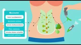 BioGutSolver – The 4 0 Technology for Flat Belly (Morphic Field)