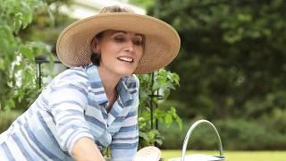 Better Homes and Gardens Real Estate M3 Realty