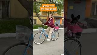 Как я придумала велокресло для своей бульдожки? #собака #юмор #бульдог