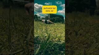 МАРАФОН 365! ДЕНЬ-26 #calisthenics #спорт #workout #сила #viral #shortvideo #мотивация #успех #цель