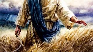 Praise and Worship (Revelation Song)