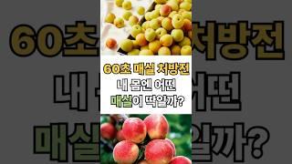 60초 매실 처방전, 내 몸엔 어떤 매실이 딱일까?