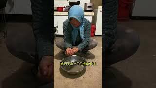 大西北的春天，没有江南的细雨绵绵，却有黄土高坡特有的粗旷与生机！农村生活 记录真实生活 甘肃  三农 种大豆@抖音小助手 @DOU+小助手