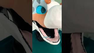 cutesy video teheh  #therian #furry