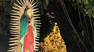 Procesión virgen de Guadalupe en Siquinala Escuintla hoy 12 de diciembre 2024 #siquinala