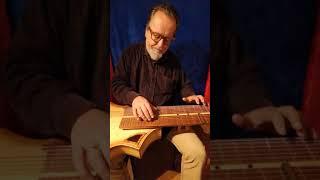 Acoustic Lap Tap Guitar Sitting Bear