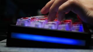 Yunzii AL66 x Milk Switch x KeyTok XXX Keycaps (ASMR typing)