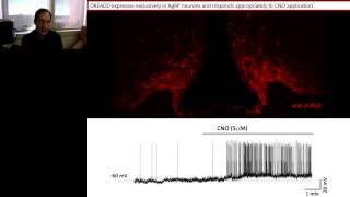 Bryan Roth - DREADD2 0 - an Enhanced Chemogenetic Toolkit