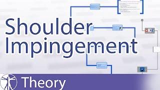 Shoulder Impingement Explained