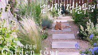 [Garden Tour] No Lawn small garden tour! All about cover ground plants 