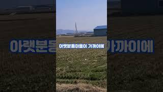 태인면 태서리 1079평 농지매매, 귀농·귀촌, 청년 창업농 추천!#태인면부동산 #태서리농지 #귀농귀촌추천 #청년창업농  #농지매매 #신태인부동산 #농지투자 #부동산매물