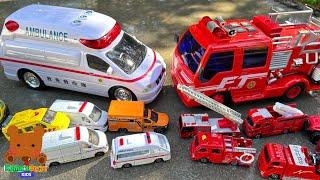 Ambulance VS Fire Truck! Let's Find Diecast Cars 【Kuma's Bear Kids】