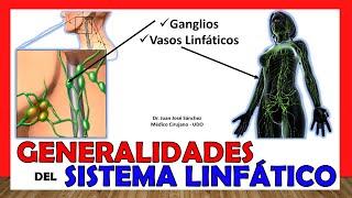  LYMPHATIC SYSTEM in 18 Minutes!! GENERALITIES. Easy and simple!