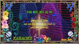 Yin wei wo ai ni - karaoke no vokal (cover to lyrics pinyin)